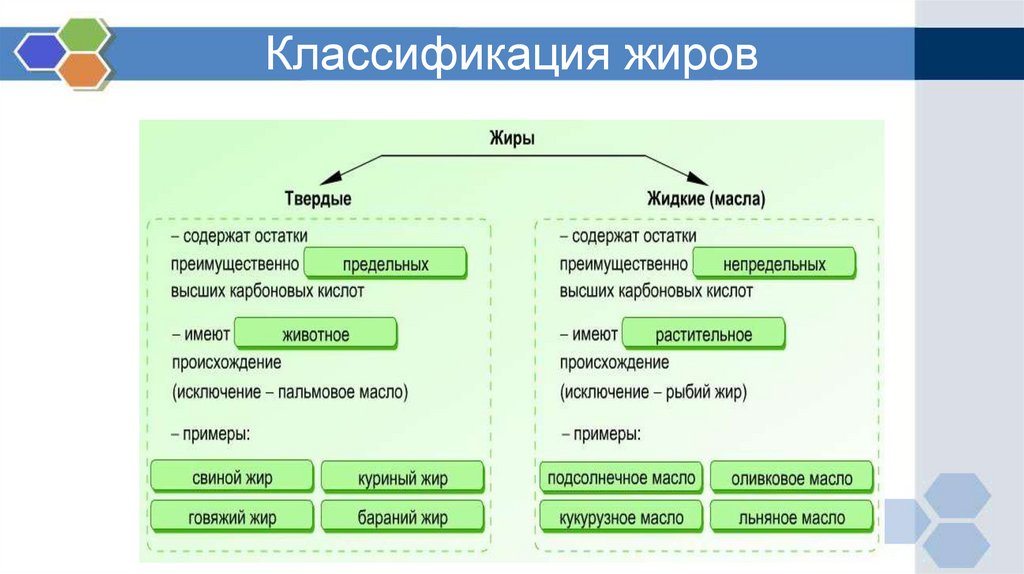 Презентация классификация жиров