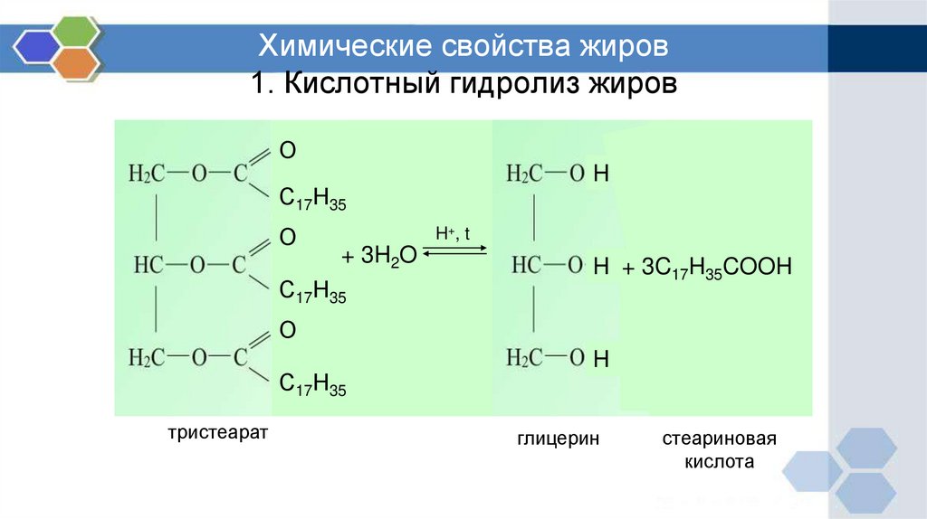 Химическая характеристика жиров