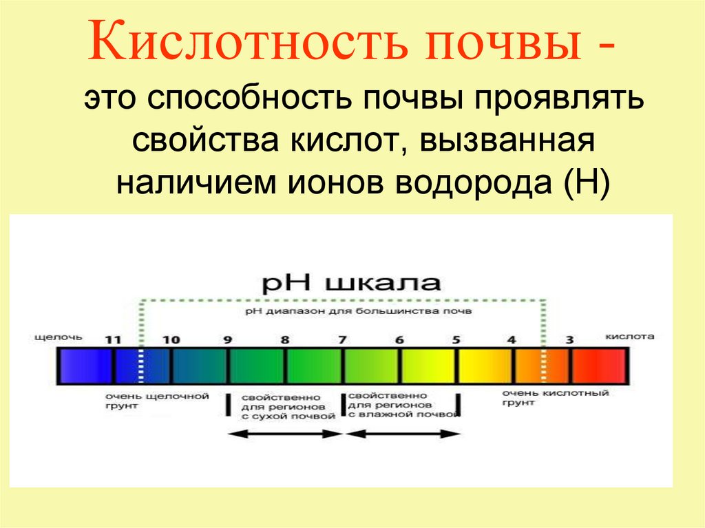 Влажностью кислотностью и. Кислотность почвы таблица PH. Шкала кислотности PH почвы. РН 6,5 кислотность почвы. РН 5 кислотность.