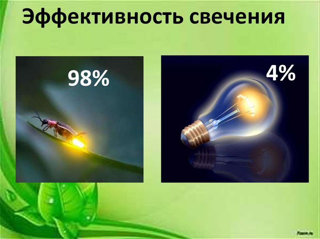 Живой фонарик - презентация онлайн