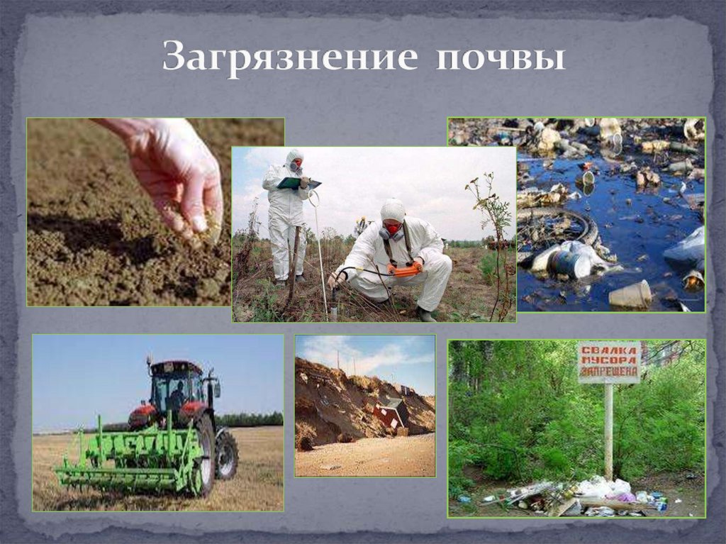 Охрана вод и почв. Загрязнение почвы. Источники загрязнения почвы презентация. Загрязненные почвы. Экологические проблемы почв.