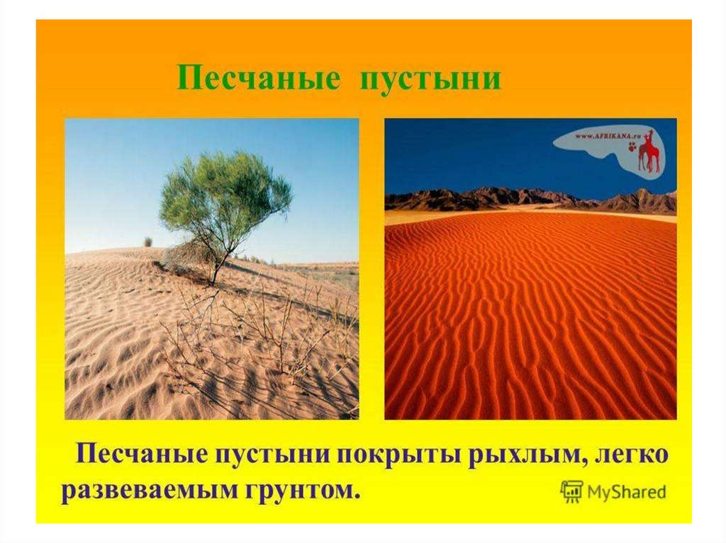 Конспект пустыни. Пустыня окружающий мир. Презентация на тему пустыня. Пустыни мира презентация. Пустыни 4 класс.