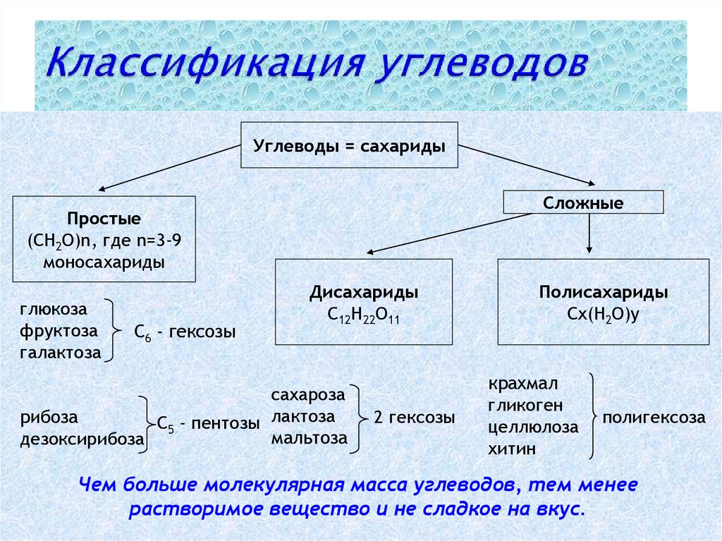 Значение углеводов в живой природе и жизни человека презентация