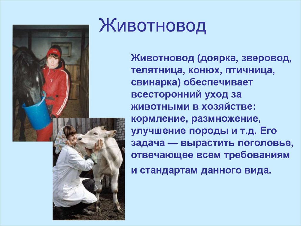 Профессия животновод картинки