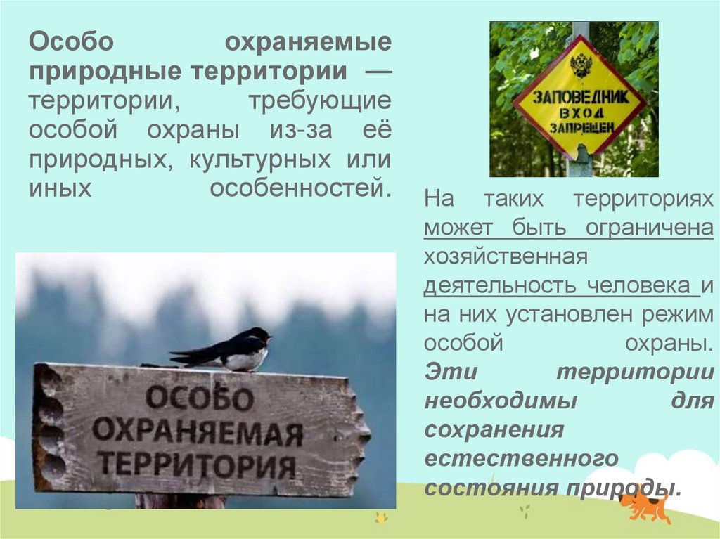 Охраняемые природные территории нижегородской области