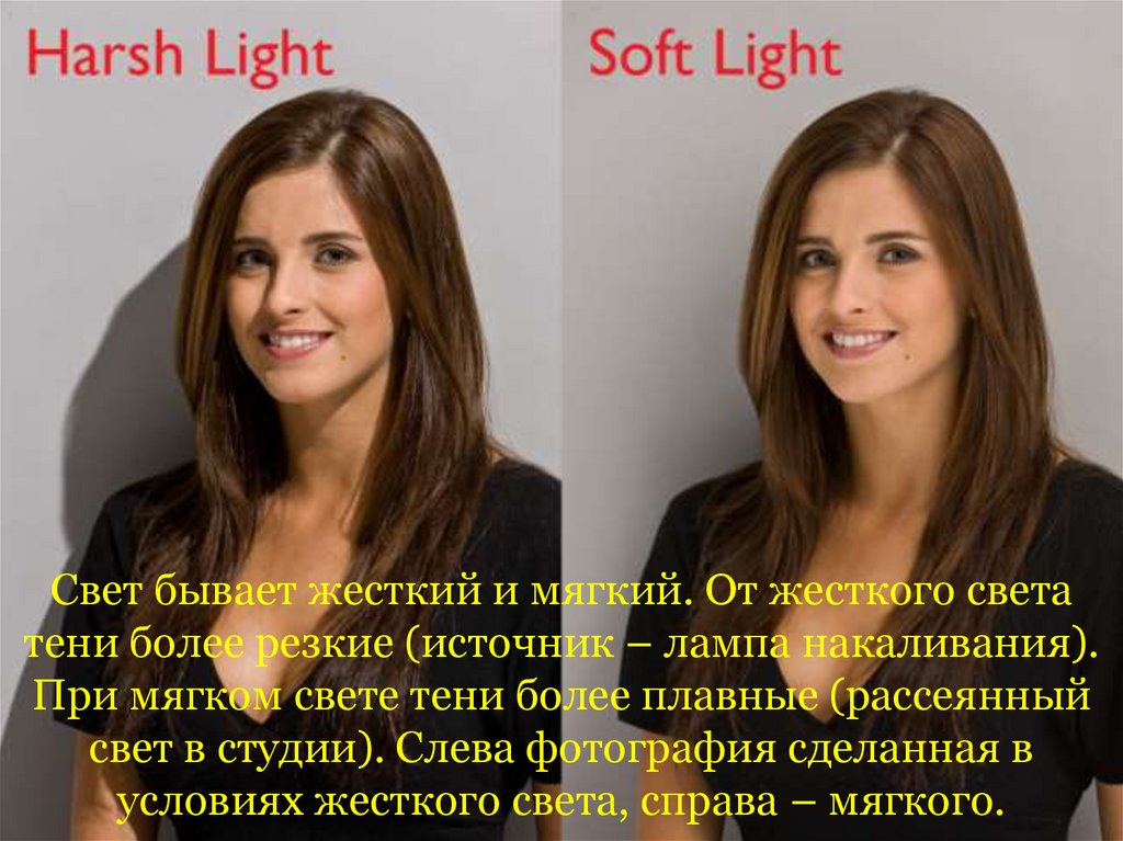 Свет бывает жесткий и мягкий. От жесткого света тени более резкие (источник – лампа накаливания). При мягком свете тени более