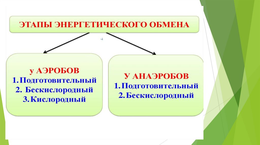 Класс обмен 9 класс