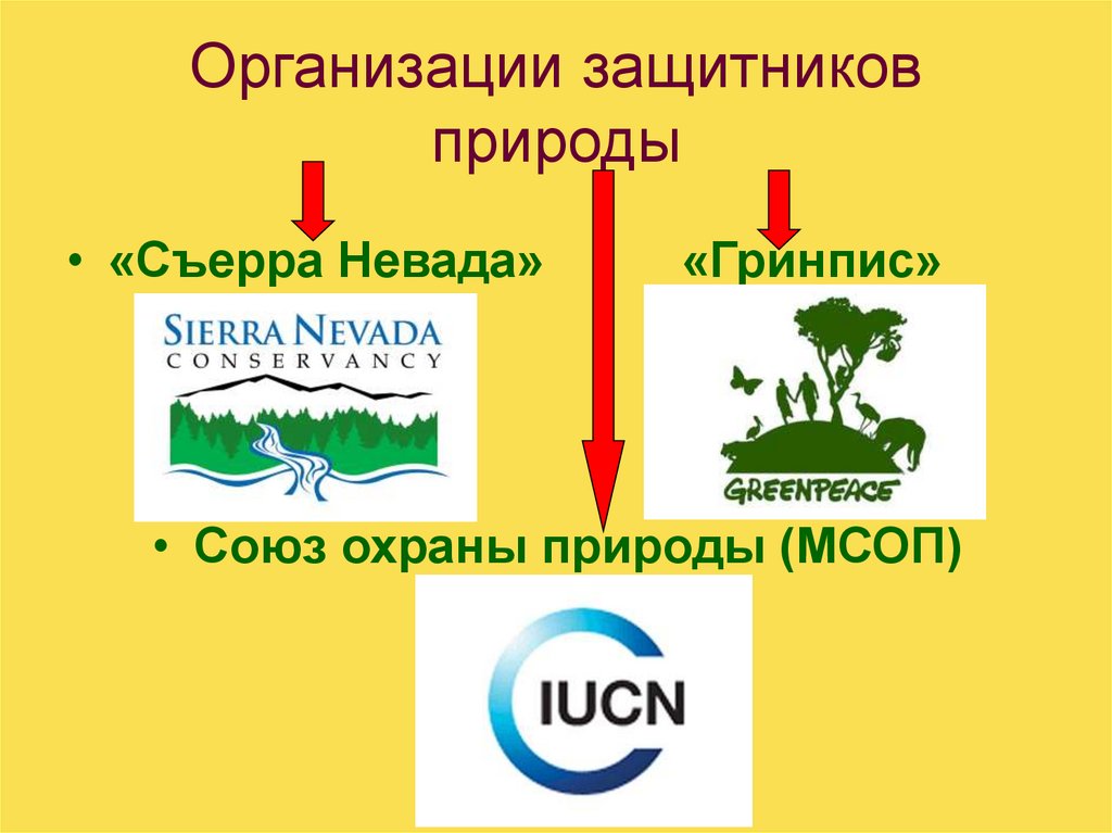 Организации защитников природы. Организации охраны природы. Международный Союз охраны природы.