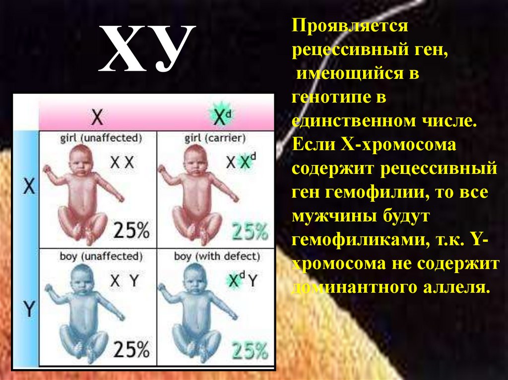 Сильный генотип. Генетика рецессивный ген. Доминантные и рецессивные гены. Рецессивный генотип. Х хромосома.