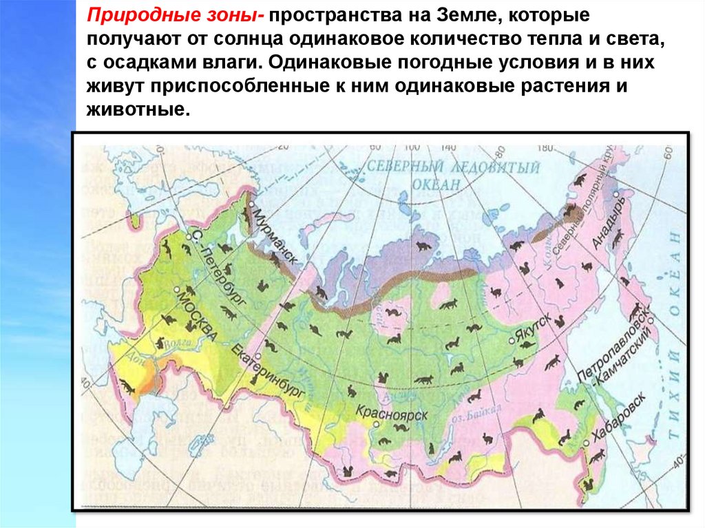 Природная зона красноярска. Природные зоны. Природные зоны дальнего Востока. Природные зоны дальнего Востока карта. Природные зоны дальнего Востока России.