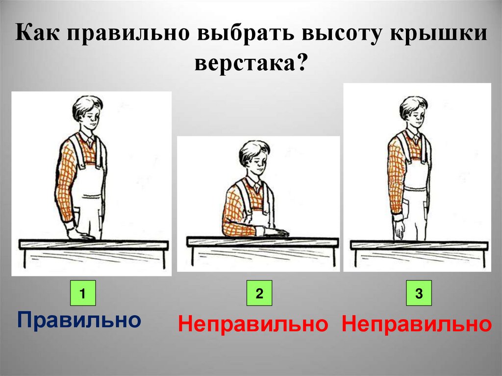 Выбирай высоту. Правильная высота верстака. Высота верстака по росту. Высота рабочей поверхности верстака по росту. Высота верстака под свой рост.