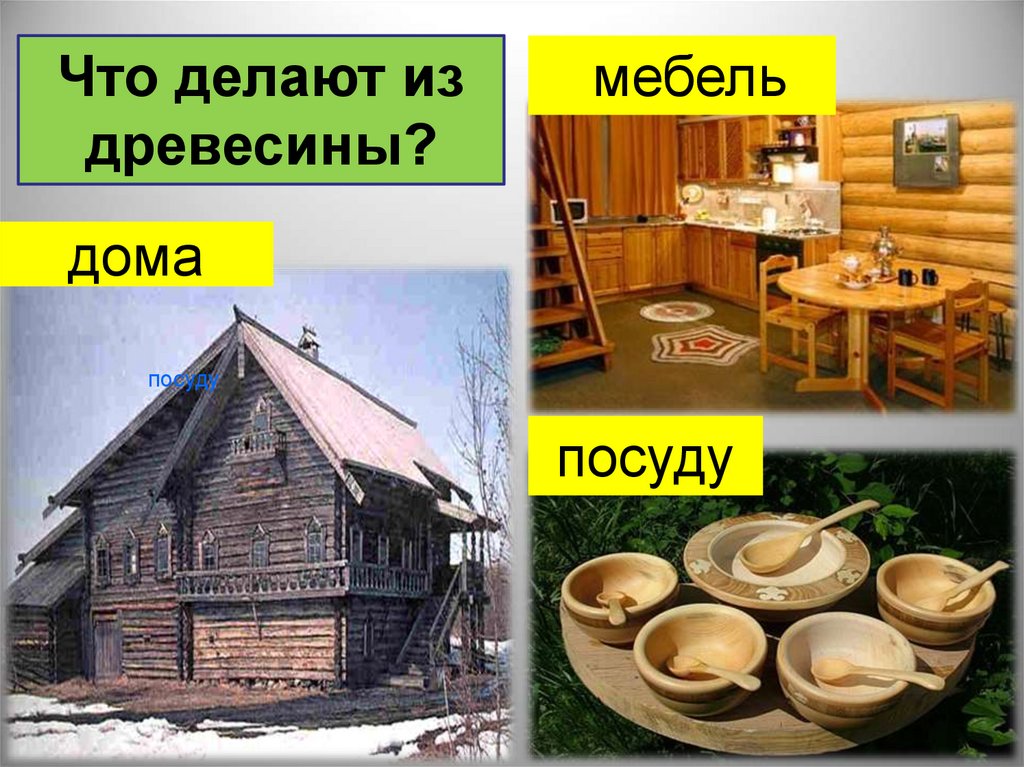 Что сделано из древесины. Предметы изготовленные из древесины. Что делают из древесмн. Что делают из древесины. Чтотделабт из древесины.