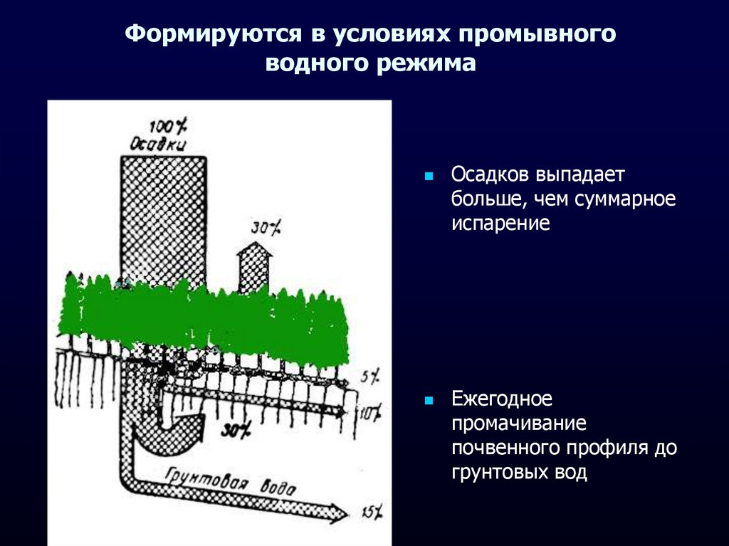 Какие типы водного режима