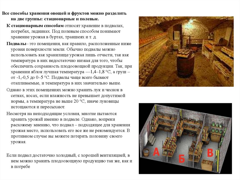условия хранения урожая. условия хранения урожая. условия хранения урожая. уборка и хранение урожая культурных растений. уборка и хранение урожая культурных растений.