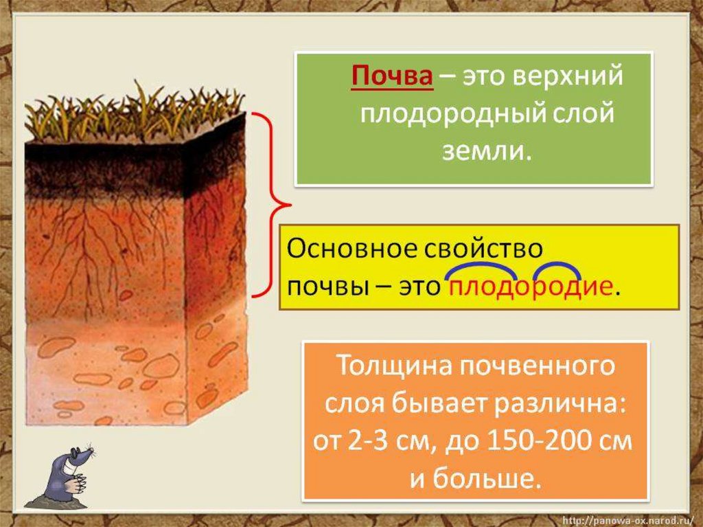 Почва это какое вещество. Плодородный слой почвы. Верхний плодородный слой почвы. Почва это верхний плодородный слой земли. Слои почвы.