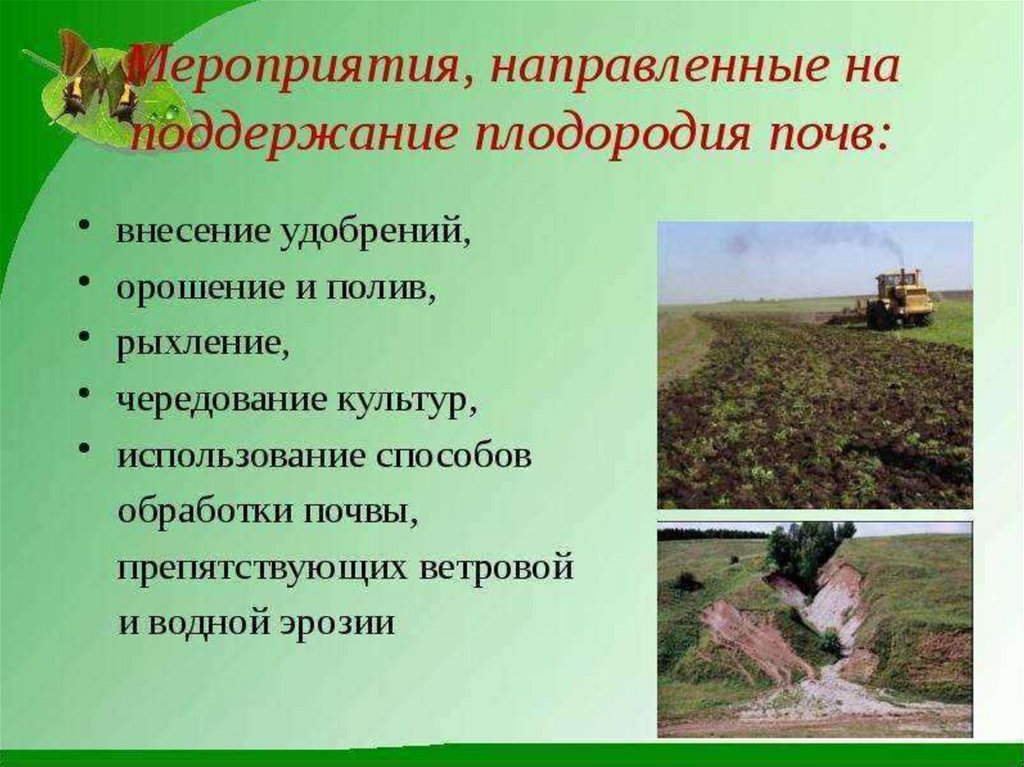 Сохранение восстановление плодородия почв. Мероприятия по сохранению почв. Мероприятия по улучшению плодородия почв. Поддержание плодородия почвы. Меры по повышению плодородия почв.