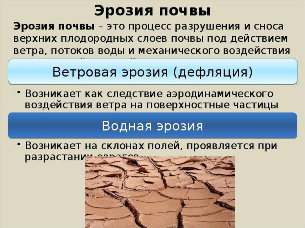 Виды эрозии почв. Эрозия почвы презентация. Биологическая эрозия почв. Предотвращение эрозии почв. Причины водной эрозии.