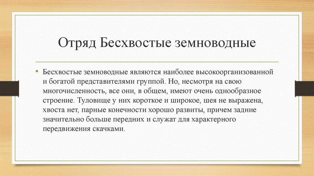 Отряд Бесхвостые земноводные