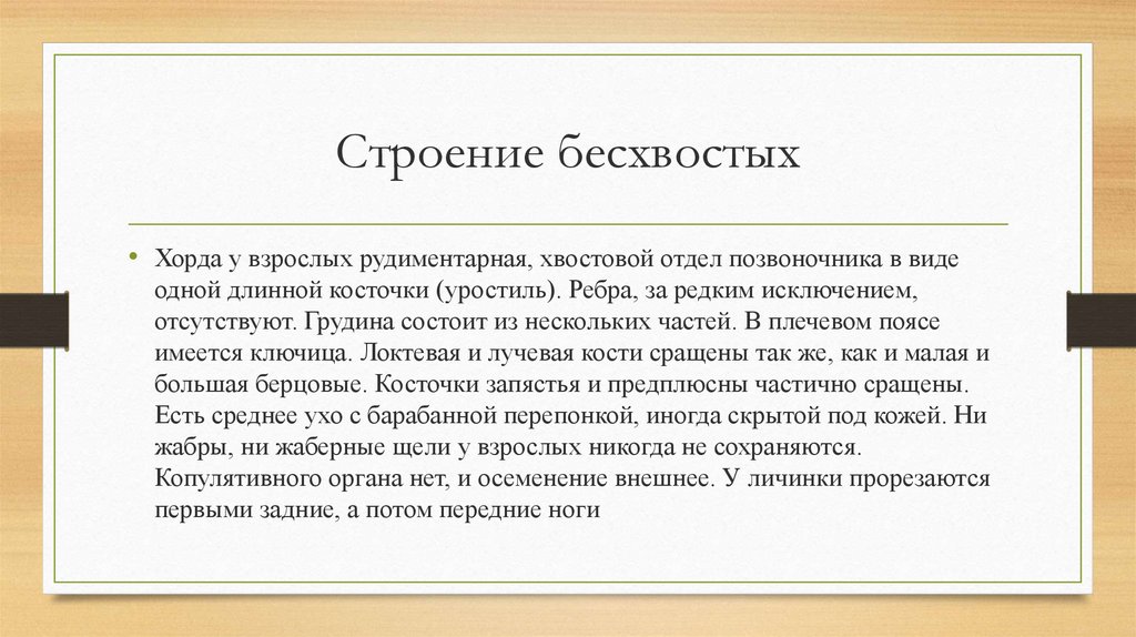 Строение бесхвостых