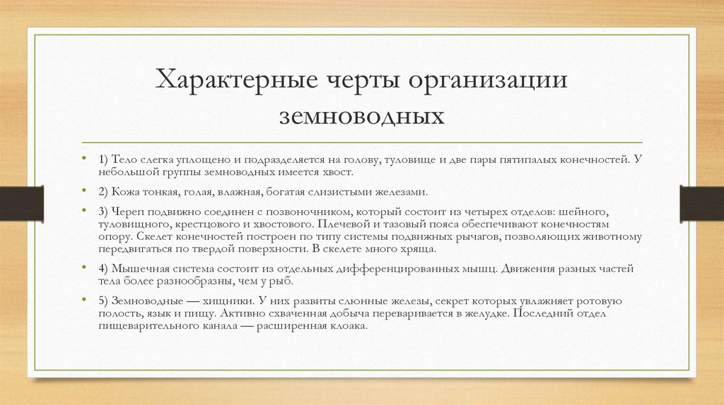 Черты фирмы. Черты организации.