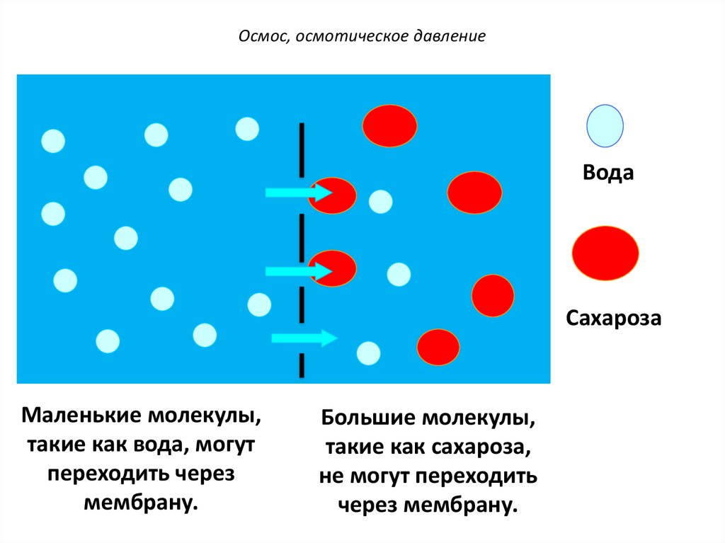 Осмотическое давление это