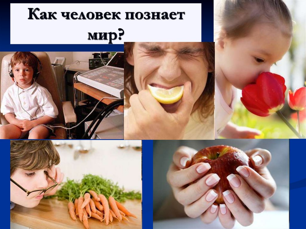 Человек и мир 6 класс