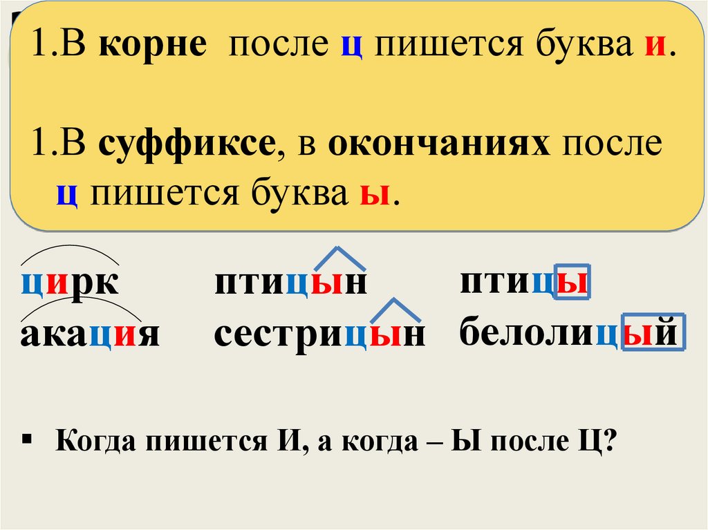 Правописание и после ц примеры. Буквы и ы после ц. Буквы и ы в суффиксах и окончаниях после ц. Буквы и ы после ц правило. И Ы после ц в корне.