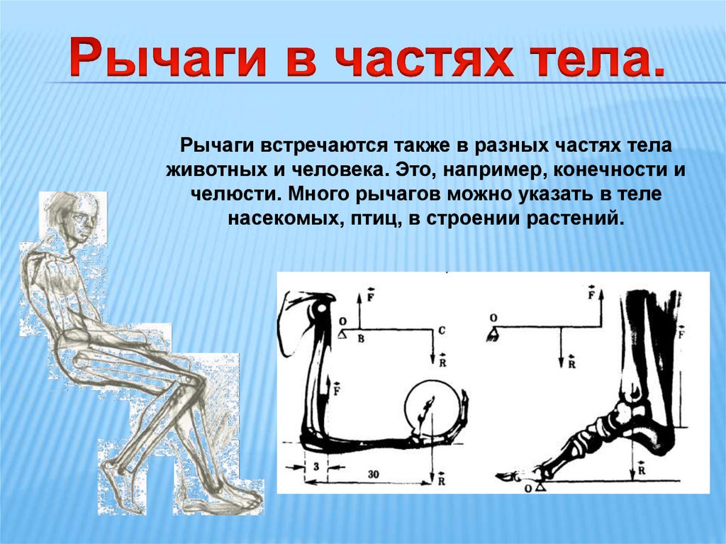 Рычаги в быту