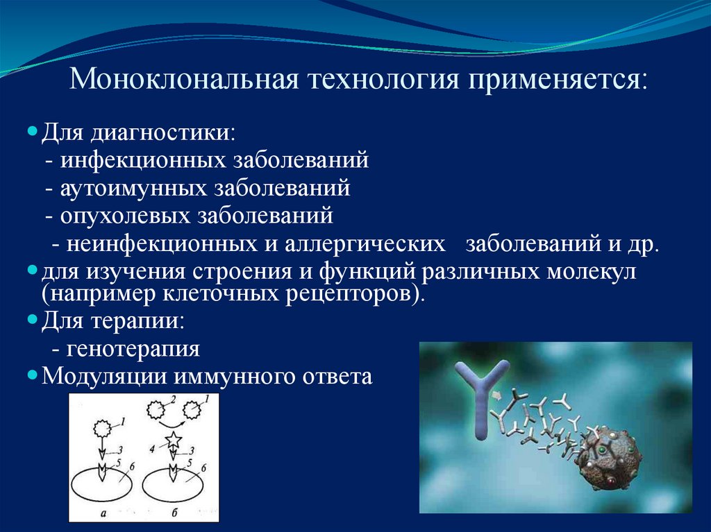 Технология гибридом. Моноклональная технология. Моноклональные антитела биотехнология. Схема гибридомной технологии. Получение моноклональных антител.