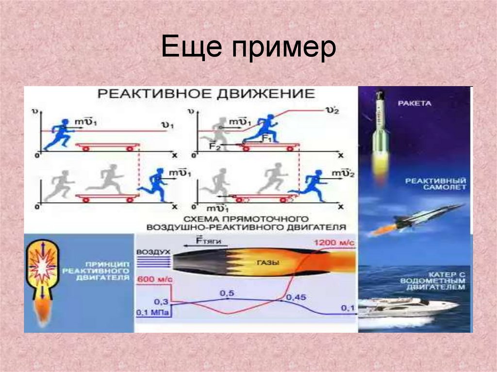 Реактивное движение в природе физика проект