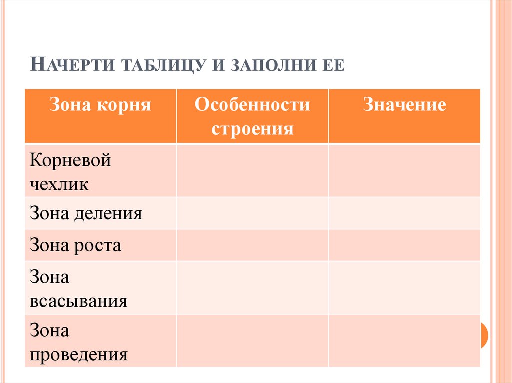 Строение корня таблица. Значение зон корня. Внутреннее строение корня таблица. Особенности строения зон корня. Зона корня особенности строения значение.