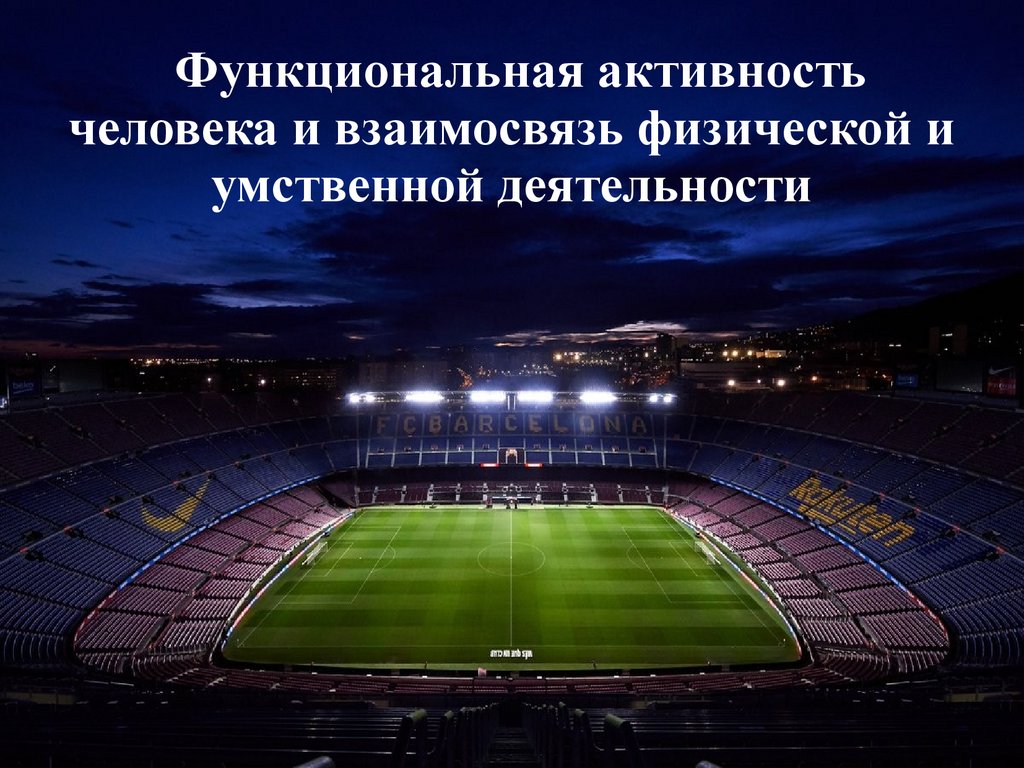 Функциональная активность человека и взаимосвязь физической и умственной  деятельности - презентация онлайн