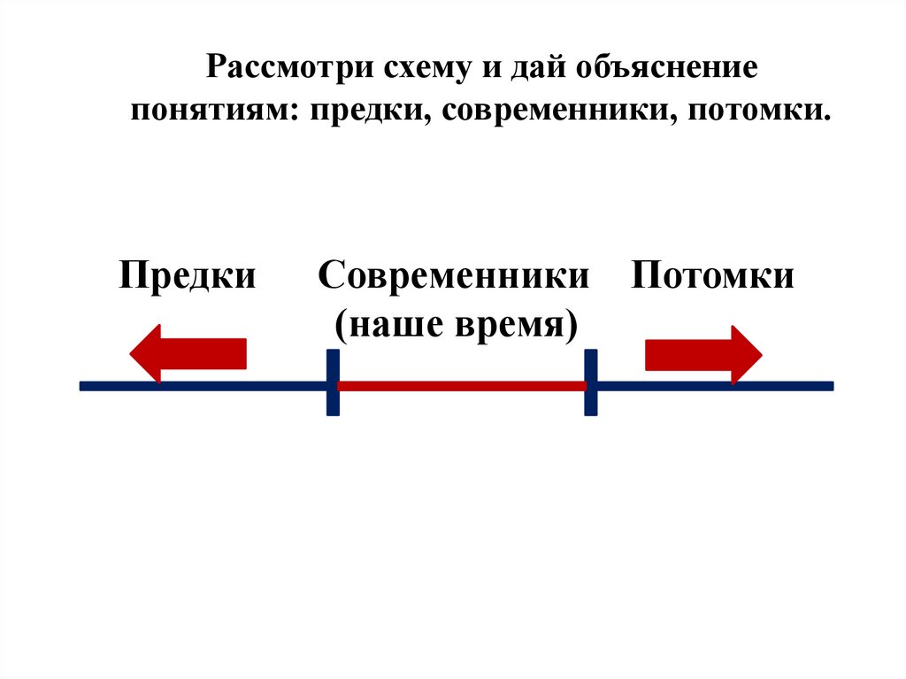 Предки Современники Потомки (наше время)