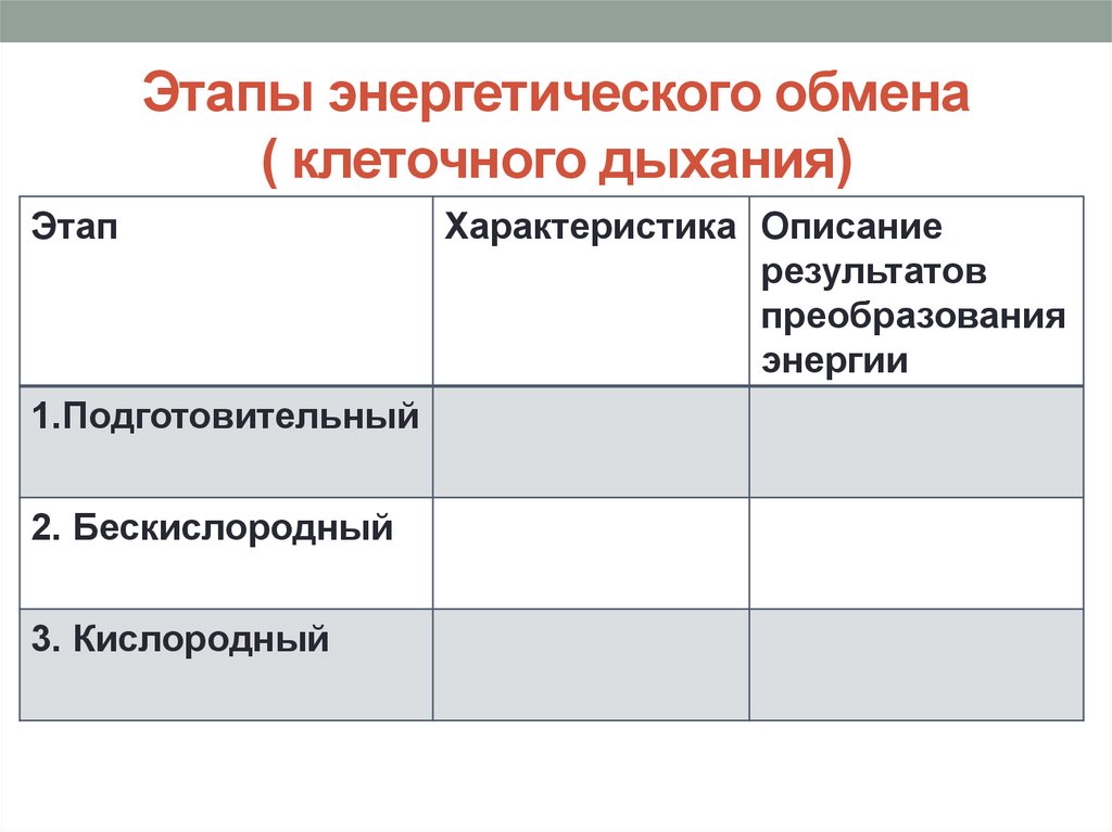 Во сколько раз клеточное дыхание эффективнее гликолиза в энергетическом плане