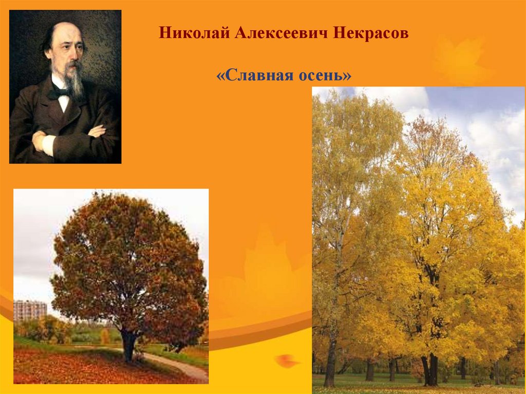 Славная осень здоровый. Николай Алексеевич Некрасов славная осень. Н Некрасов славная осень. Николай Александрович Некрасов славная осень. Николай Алексеевич Некрасов 168 славная осень.