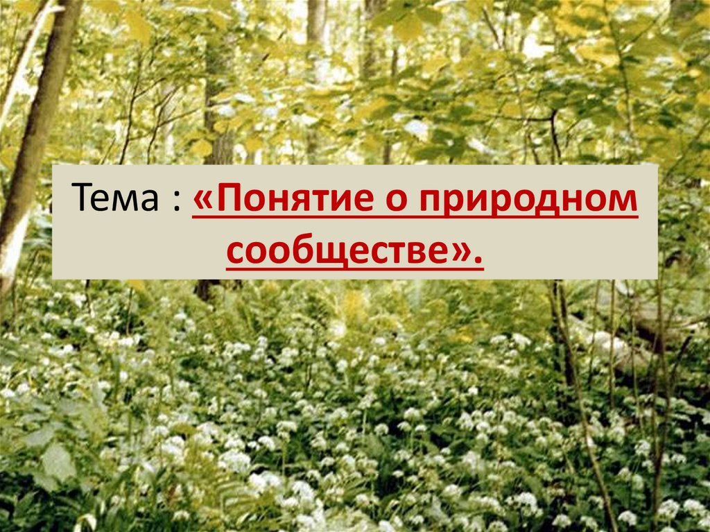 Презентация понятие о природном сообществе биогеоценозе и экосистеме