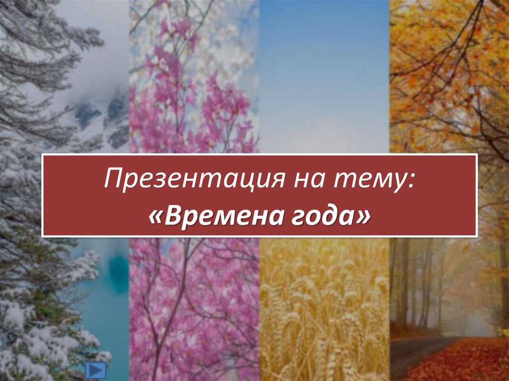 Класс времена года презентация. Презентация на тему времена года. Презентация на тему времена года по слайдам.