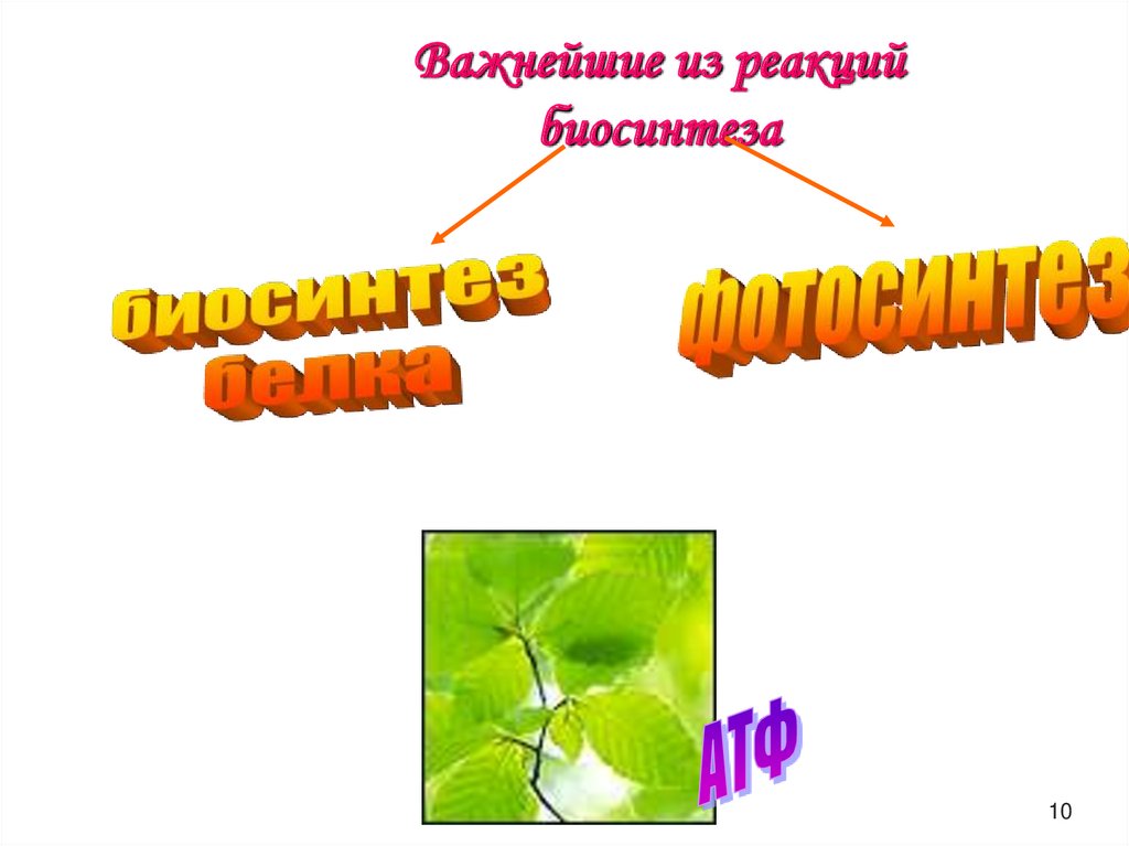 Организм как единое целое 6 класс презентация