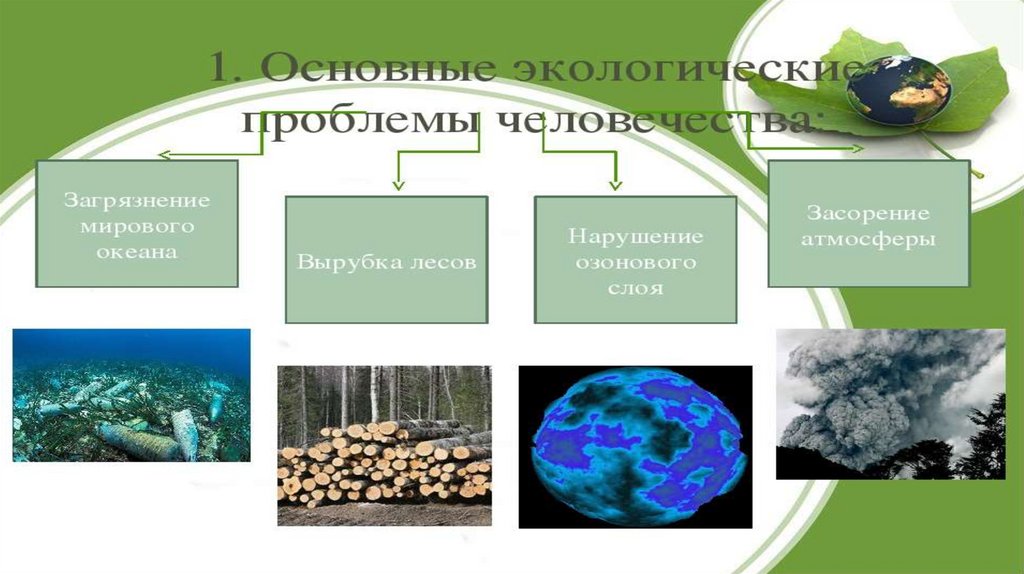 Основные экологические проблемы