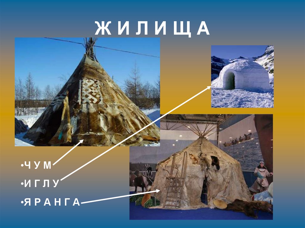 Сообщение на тему дома народов россии. Яранга жилище народов севера. Чум яранга. Чум яранга юрта иглу.