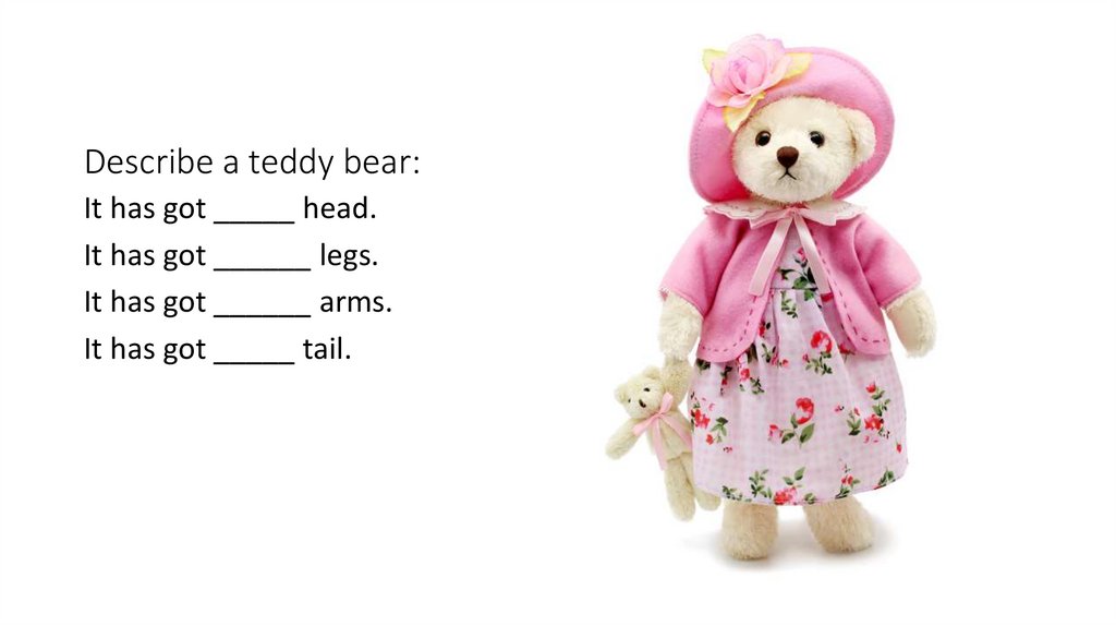 How Would You Describe A Teddy Bear