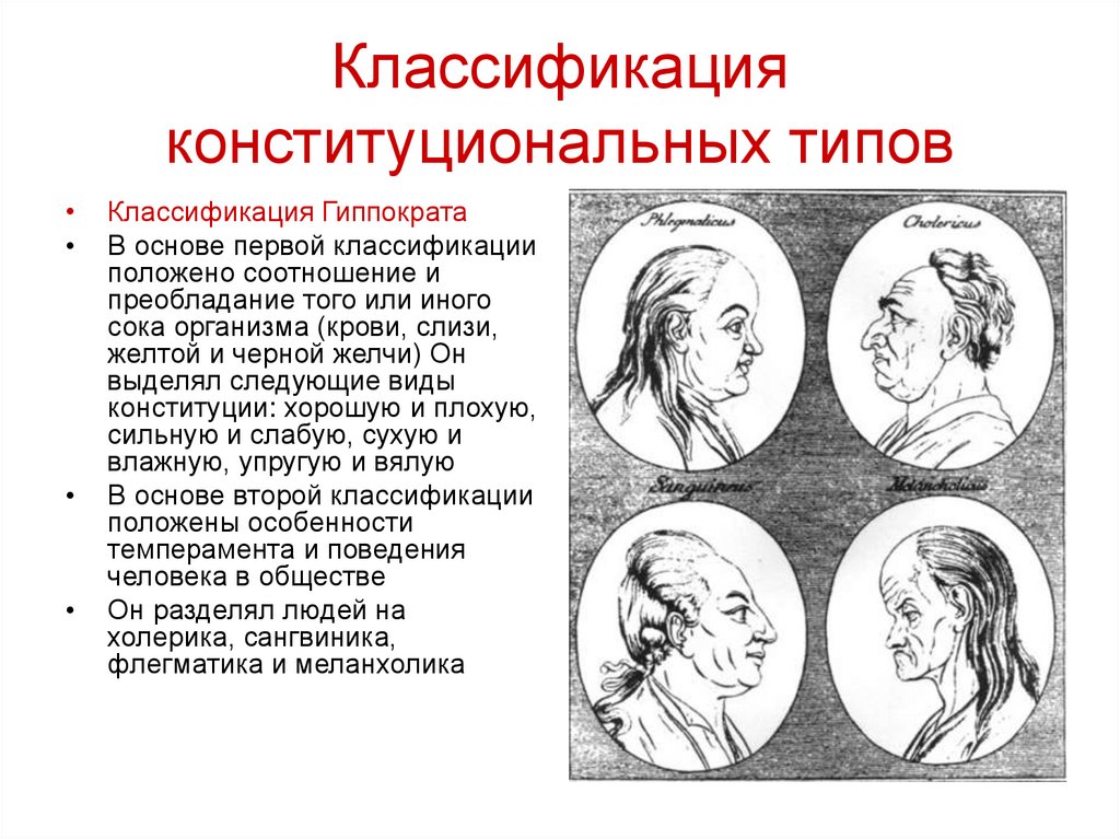 4 конституционный типа. 4 Типа темперамента по Гиппократу. Типы Конституции по Гиппократу. Основные типы телосложения по Гиппократу.. Четыре основных типа телосложения по Гиппократу.