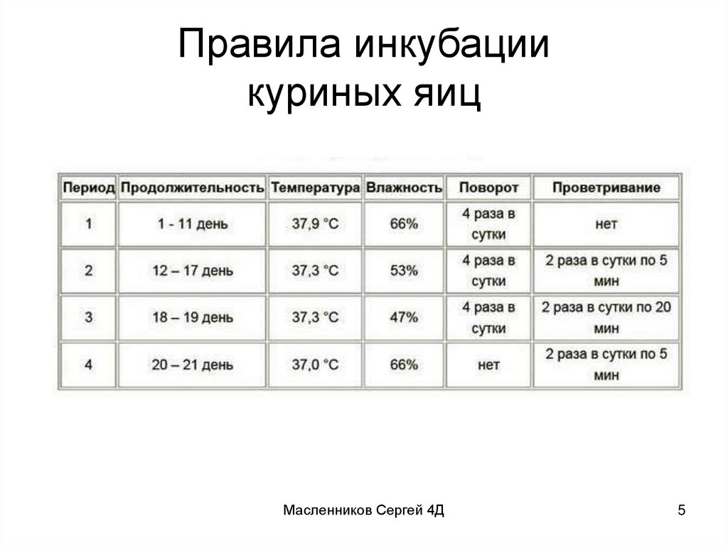 Правила инкубации куриных яиц