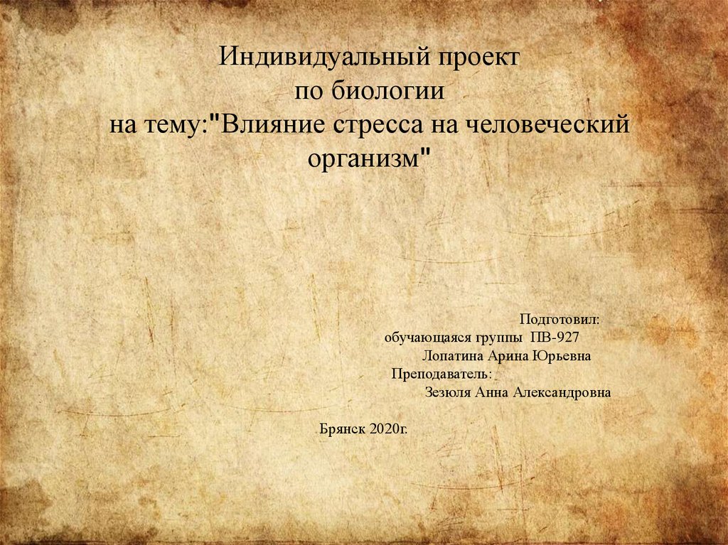 Пример презентации по индивидуальному проекту