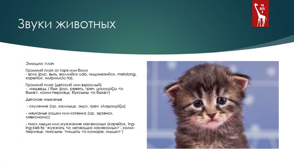 Звуки животных