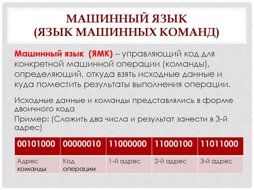 Программа это набор машинных команд которые следует выполнить компьютеру