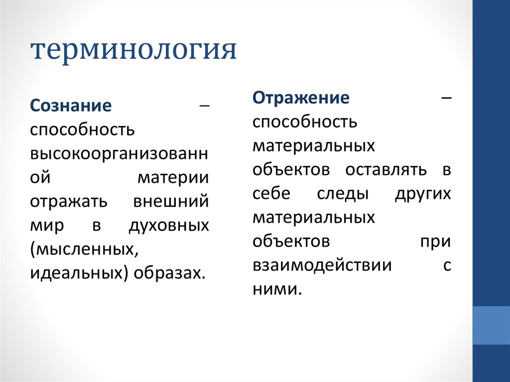 терминология