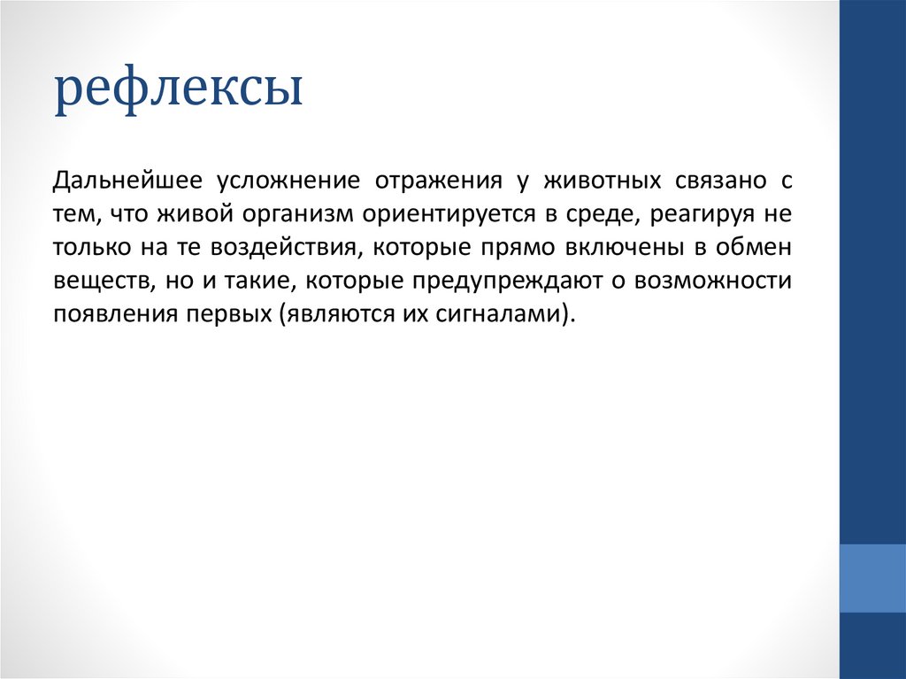 рефлексы