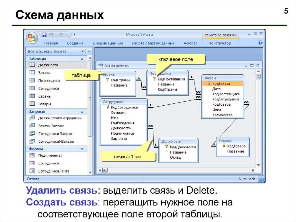 Что такое список полей в схеме данных