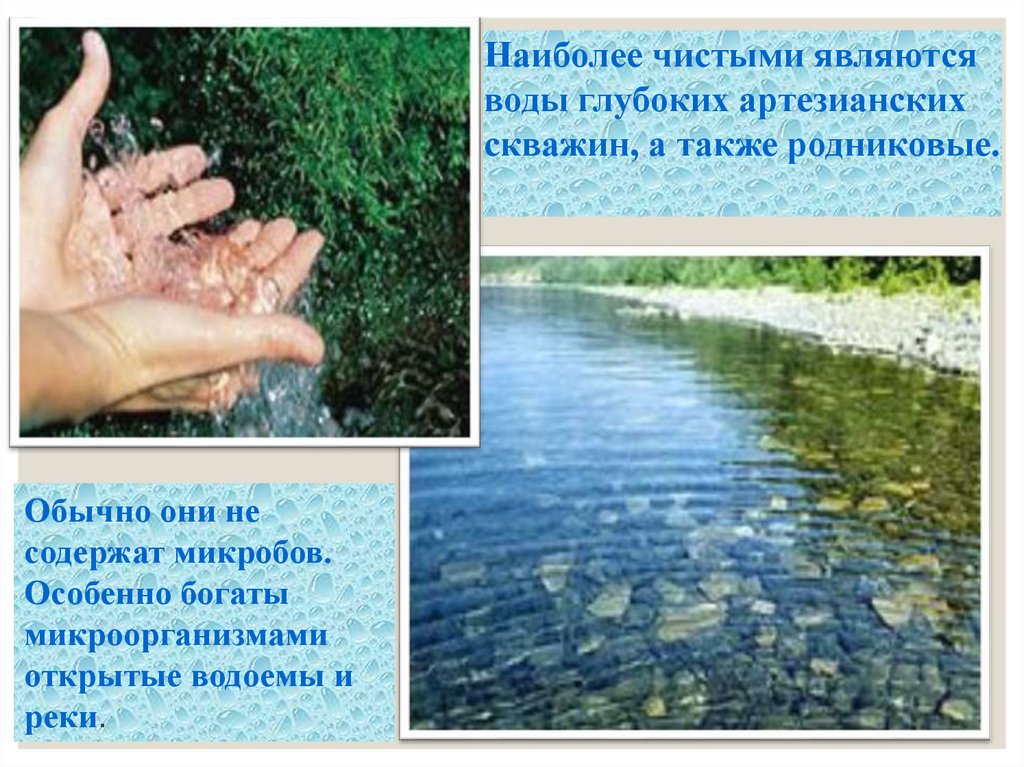 Наиболее чистыми являются воды:. Наиболее чистой является в природе вода. Микроорганизмы в открытых водоемах. Родниковая вода какие бактерии содержит. Вода является благом
